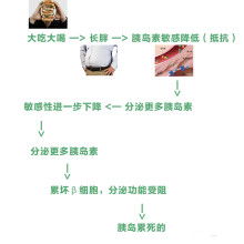 白山市浑江区蜜蜜健康咨询服务中心 专业引领，守护您的健康之路